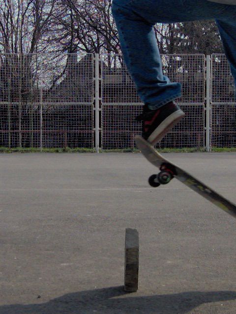 IM000528.jpg